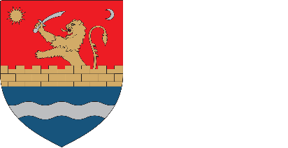 Consiliul Judetean Timis
